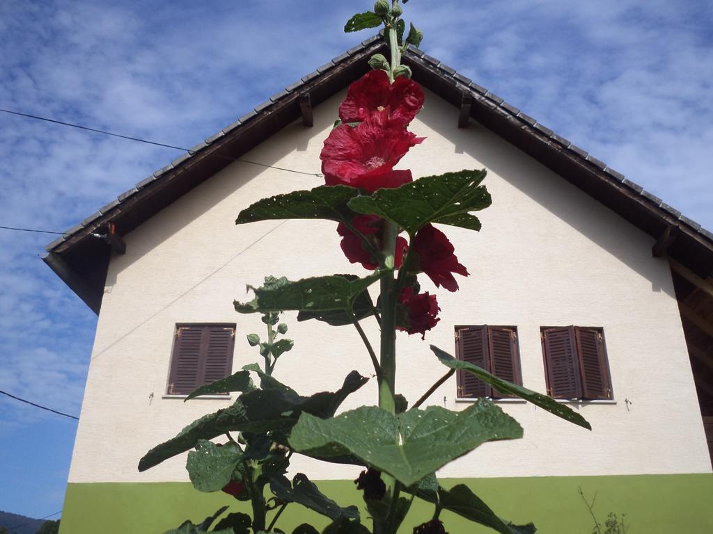 Guesthouse Loncar Plitvicka Jezera Ngoại thất bức ảnh